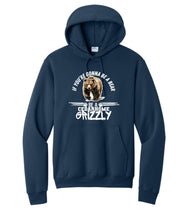 Load image into Gallery viewer, Official Cedarhome Be A Grizzly Hoodie