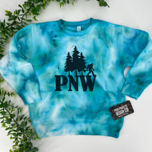 Load image into Gallery viewer, PNW Tie Dye Crew Sweatshirt or Hoodie
